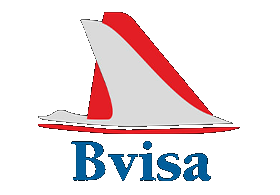 bivisa